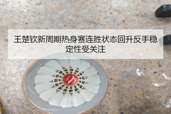 王楚钦新周期热身赛连胜状态回升反手稳定性受关注