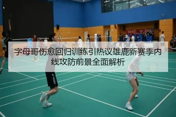 字母哥伤愈回归训练引热议雄鹿新赛季内线攻防前景全面解析