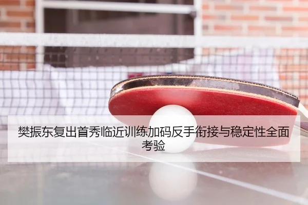 樊振东复出首秀临近训练加码反手衔接与稳定性全面考验